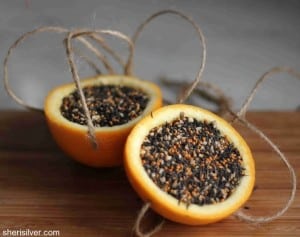 orange seeds