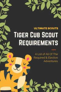 Tiger Cub Scout Requirements