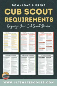 WHAT ARE THE CUB SCOUT REQUIREMENTS