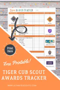 Tiger Awards Tracker Pinterest