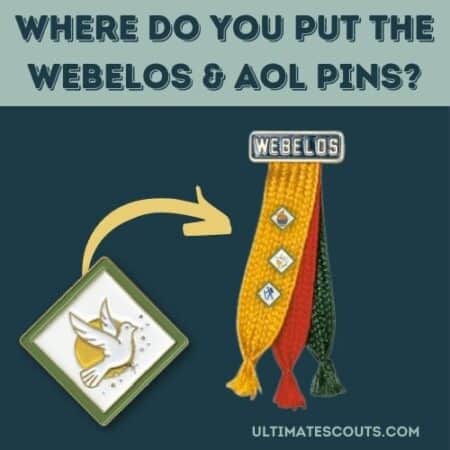 where do webelos & aol pins go?