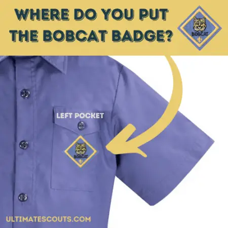 where do you put the bobcat badge?