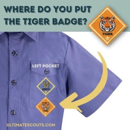 cub scout tiger rank placement