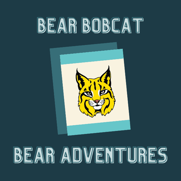 Bear – Bobcat Aventure Requirements