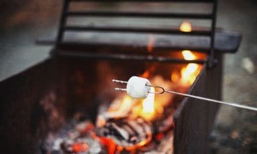 marshmallow roasting stick