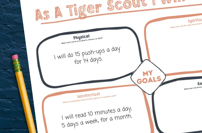 tiger scout goals