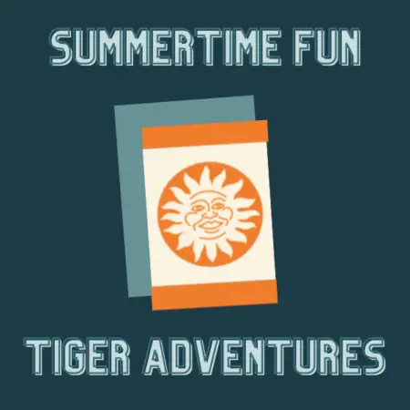 Summertime Fun Adventure Requirements