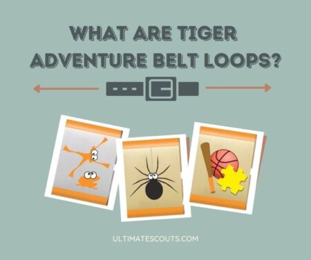 cub scout tiger belt loops