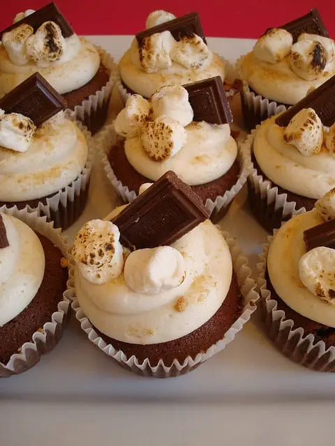 S’More Cupcakes