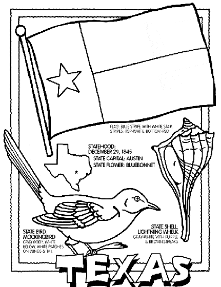 Learn About Your State Worksheets