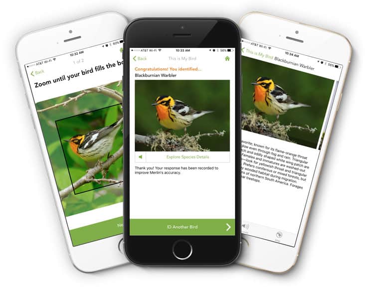 merlin app 2 – Ultimate Scouts