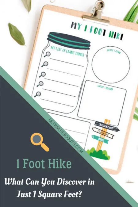 Printable Worksheet for the Cub Scout 1 Foot Hike Outdoor Activity