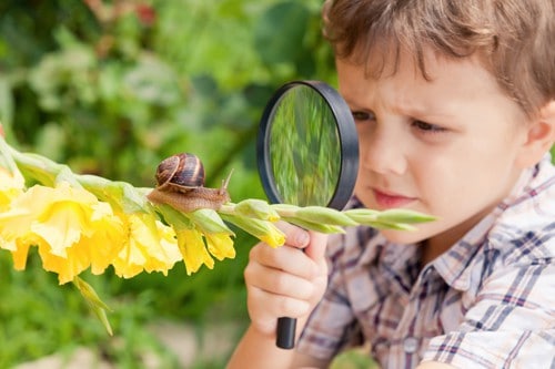 tiger cub scout searching on 1 foot hike