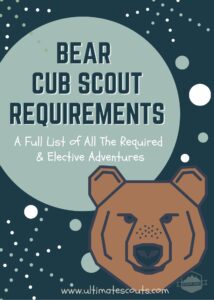 Bear Cub Scout Requirements