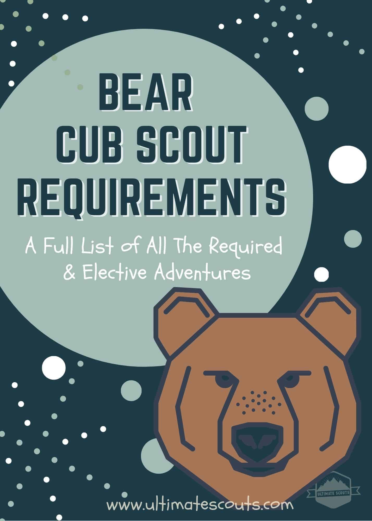 What Are The Cub Scouts Bear Requirements?