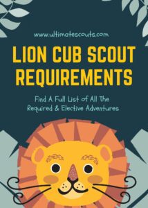 lion cub scout requirements