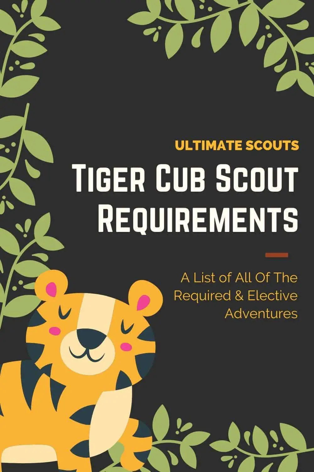 What Are The Cub Scouts Tiger Requirements?