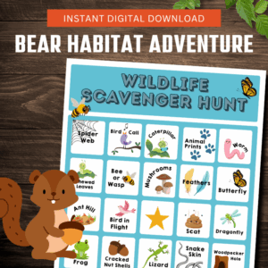 Bear Habitat Bingo