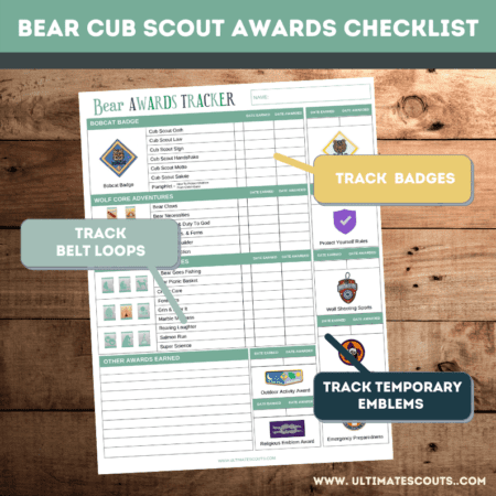 Bear Scout Awards Checklist Details
