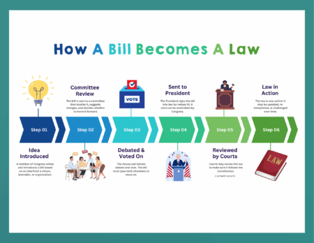 How A Bill Becomes A Law for Kids