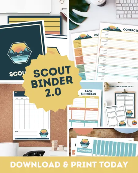 Cub Scout Binder Pin