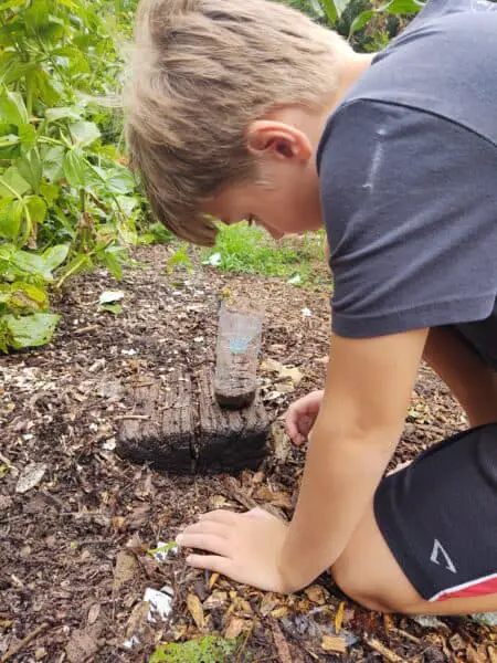 checking rain gauge