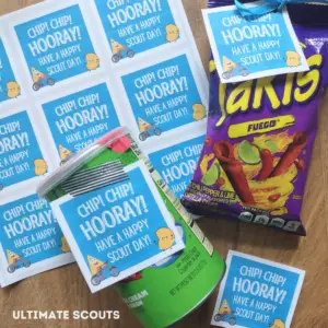 Cub Scout Welcome Printable Chips