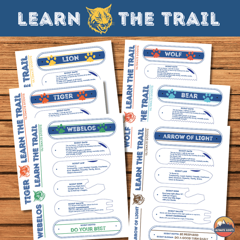 Learn The Trail Activity Printable