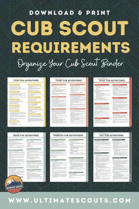 WHAT ARE THE CUB SCOUT REQUIREMENTS