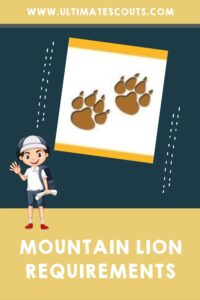 mountain lion adventure cub scouts