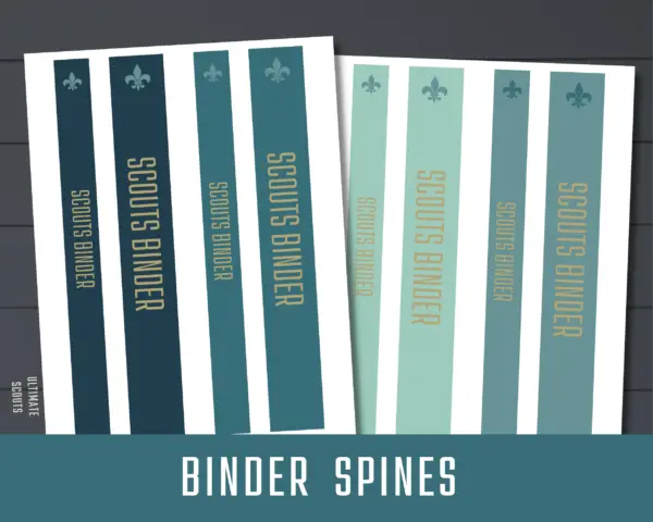 organize cub scouts spines for binder