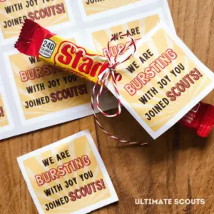 Cub Scout Welcome Tag Printable