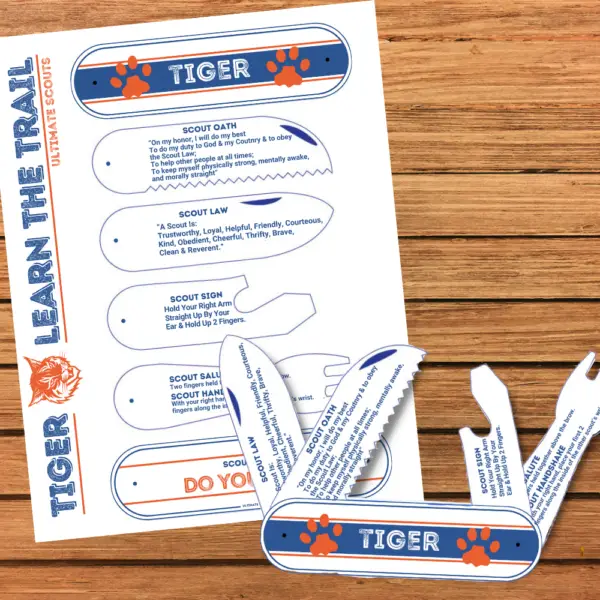 Tiger Pocketknife Bobcat Activity