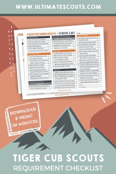 Tiger Cub Scout Requirements Download Printable