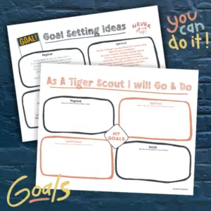 Tiger Scout Goals