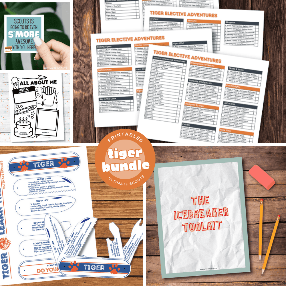 Tiger Starter Kit - Printable Kit