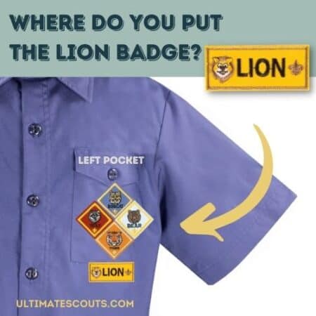 where do you put the lion badge