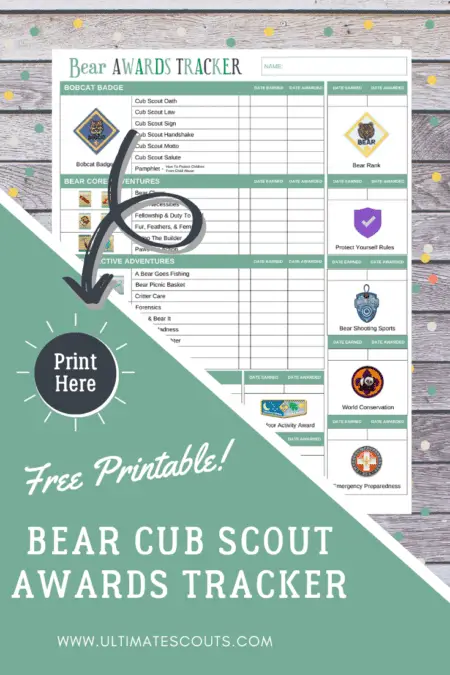 Cub scout bear clearance belt loops