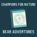 Champions For Nature Requirements