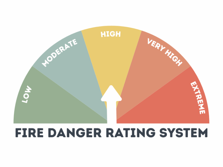 Bear Habitat fire danger