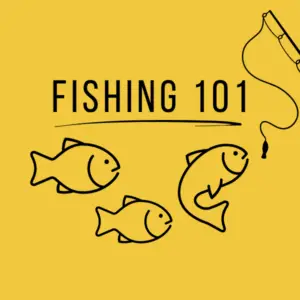 Fishing 101 Fishing for beginners