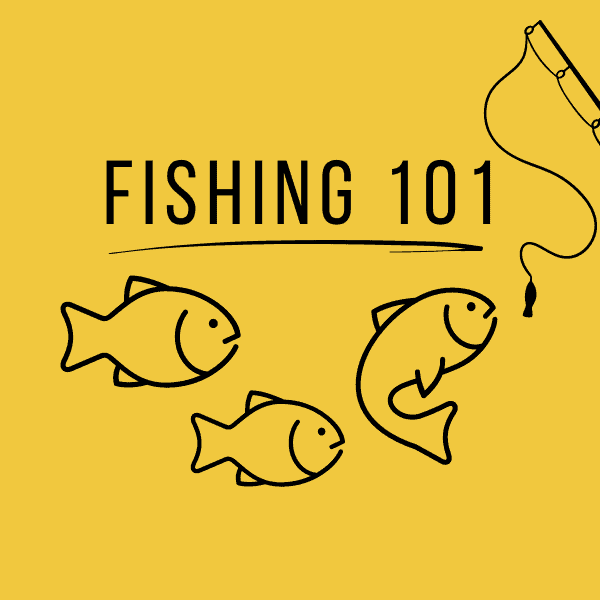 Fishing 101: A Beginners Guide To Fishing For Kids