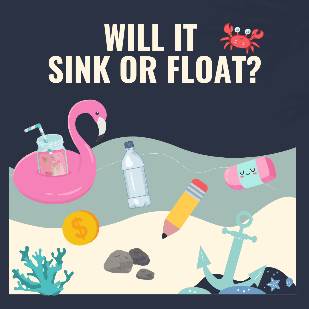 Best Sink or Float Resources: Videos, Worksheets & More