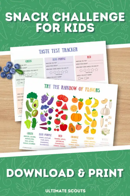 Snack Challenge Printable Pinterest