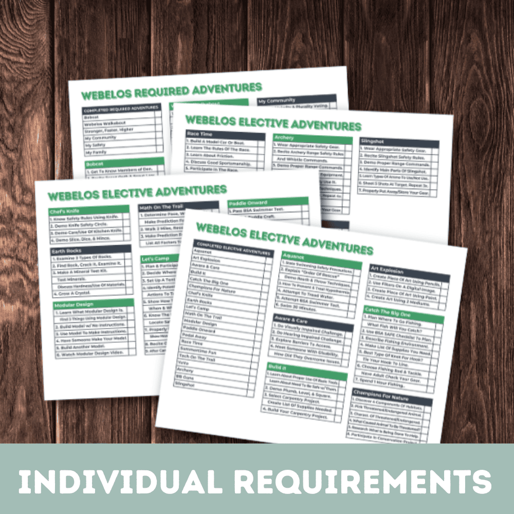 Webelos Individual Requirements