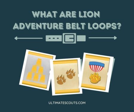 lion cub scout belt loop