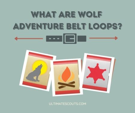 what are the wolf scout belt loops, BSA