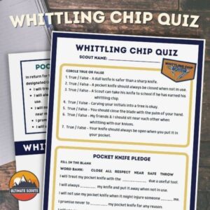 whittling chip quiz