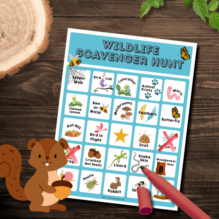 Wildlife Signs Scavenger Hunt